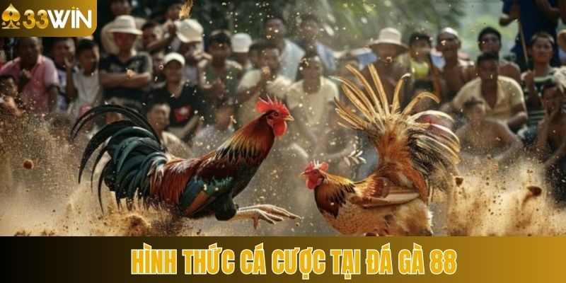 Top các siêu phẩm hot hit có mặt tại đá gà 88